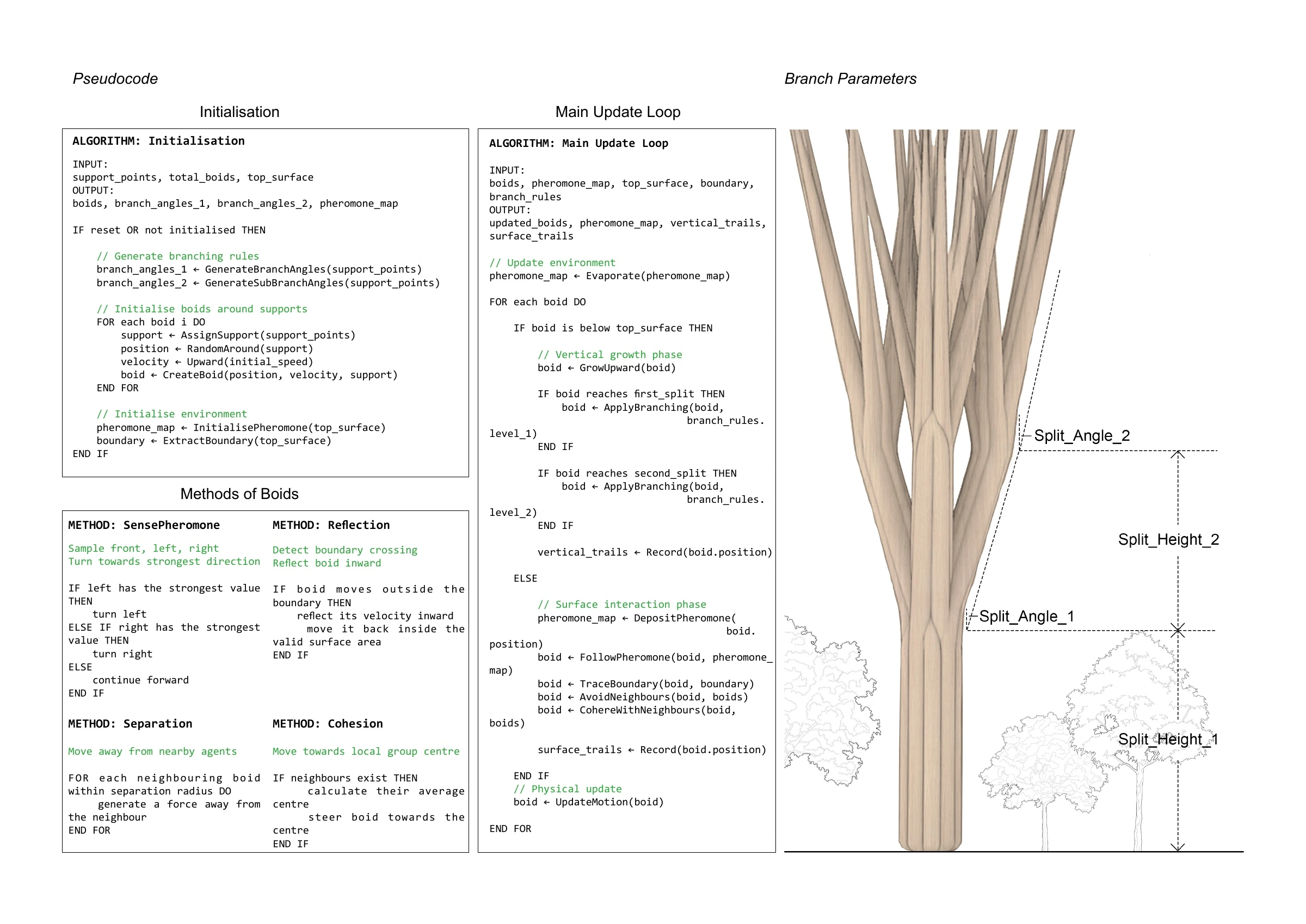 Algorithm, pseudocode and structural materialisation